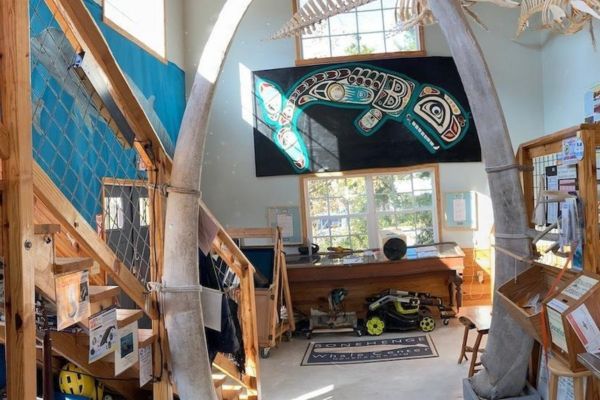 Bonehenge Whale Center Bonehenge Whale Center