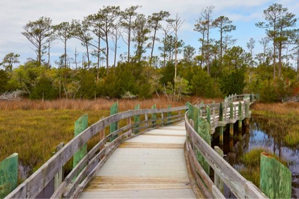 Hiking Trails throughout the Crystal Coast Hiking Trails throughout the Crystal Coast