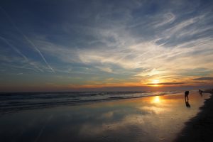 OLYMPUS DIGITAL CAMERA OLYMPUS DIGITAL CAMERA