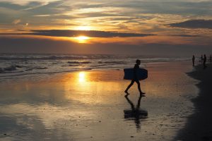 OLYMPUS DIGITAL CAMERA OLYMPUS DIGITAL CAMERA