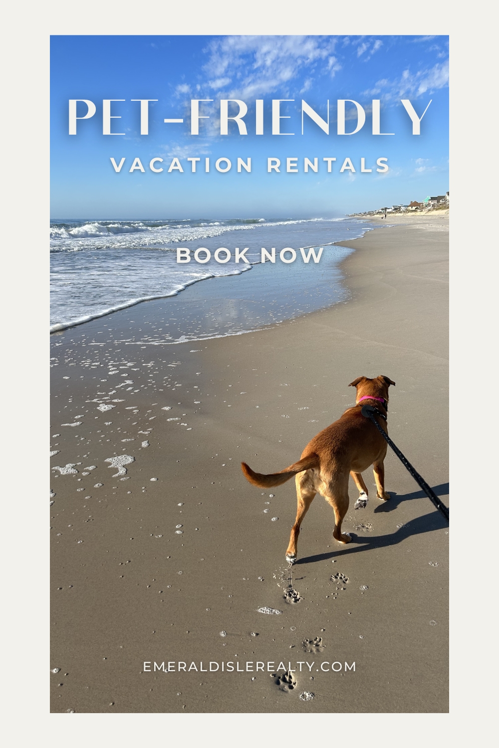 Pet Friendly Vacation Rentals
