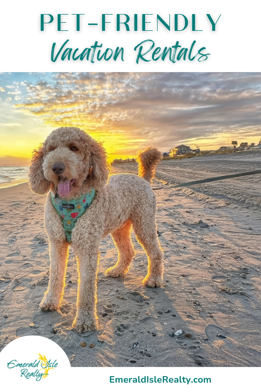 Pet Friendly Vacation Rentals in Emerald Isle, North Carolina