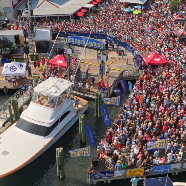 Big Rock Blue Marling Tournament Big Rock Blue Marling Tournament