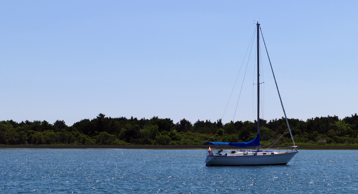 SET SAIL ON A DOLPHIN OR SUNSET CRUISE